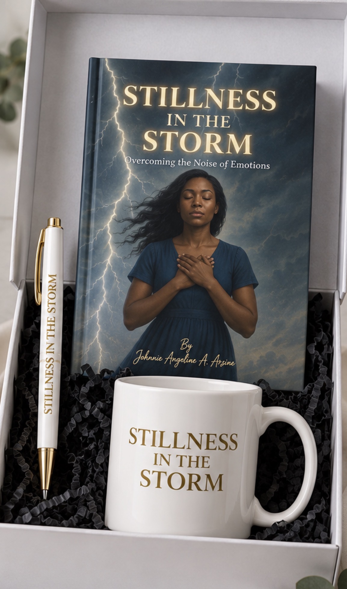 Stillness in the Storm Bundle